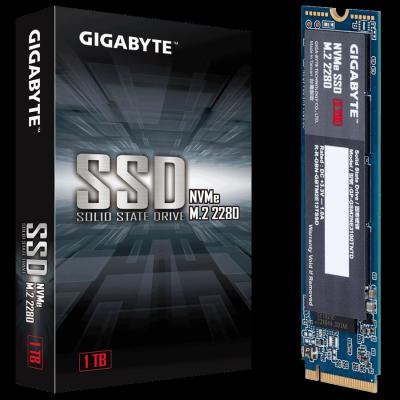 GIGABYTE GP-GSM2NE3100TNTD 1TB M.2 NVMe 1.3 2500-2100 MB/s SSD