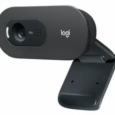 LOGITECH 960-001364 Logitech C505 HD Webcam - Siyah