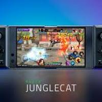 RAZER RZ06-03090100-R3M1 Annabelle Junglecat Oyun Kolu