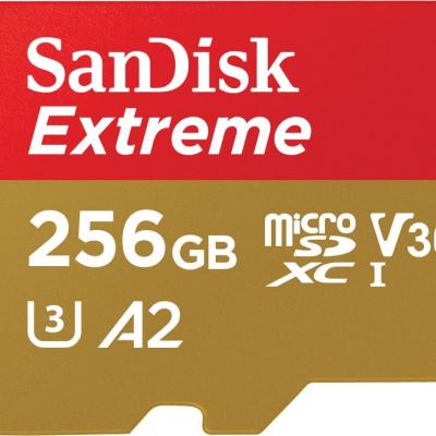 SANDISK SDSQXA1-256G-GN6MN