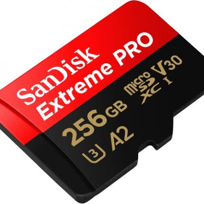 SANDISK SDSQXCZ-256G-GN6MA 256 GB Ultra 100 MB Class 10 UHS-I Micro SD
