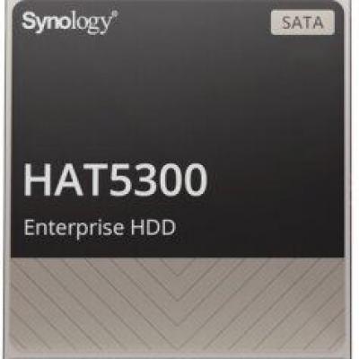 SYNOLOGY HAT5300-12T 12TB Sata 6.0 7200RPM 256MB 3.5' Dahili Disk