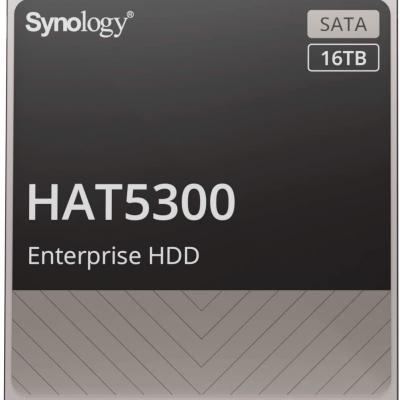 SYNOLOGY HAT5300-16T 16TB Sata 6.0 7200RPM 256MB 3.5" Dahili Disk