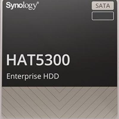 SYNOLOGY HAT5300-4T DSK 3.5'  4TB 7200RPM SATA6 256MB SİYAH