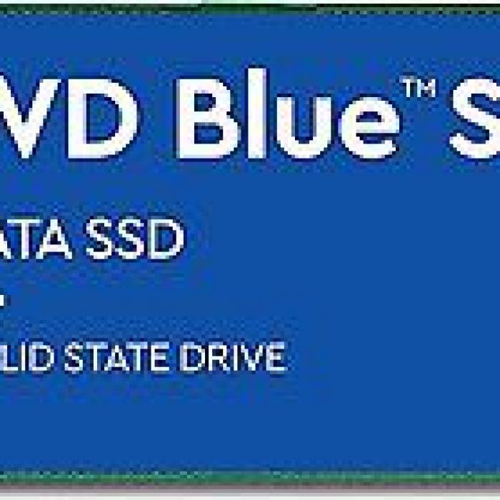 WD WDS100T3B0B SSD INT BLUE 1TB 560/520MB SATA M2