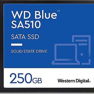 WD WDS250G3B0A Blue SA510 SATA SSD 2.5 inç 7 mm kasalı 250 GB