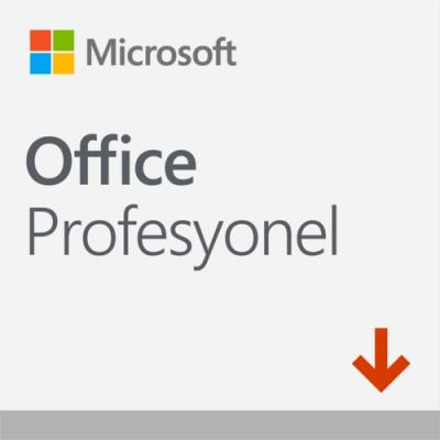 MS Office Pro 2021 ESD Lisans 269-17190