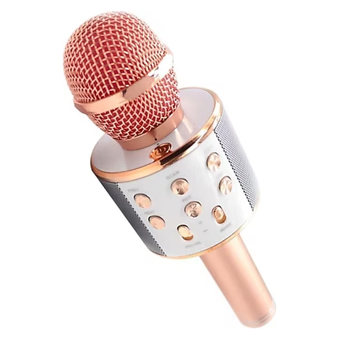 PLATOON PL-2463 BLUETOOTH-SD-AUX-FM KABLOSUZ KARAOKE MİKROFON