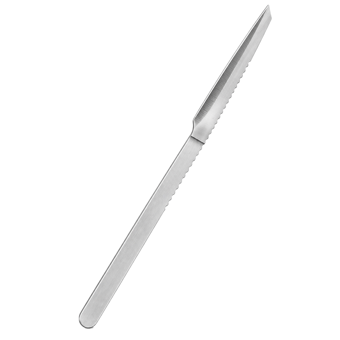 SUNUP SN-38806 13 CM PASLANMAZ ÇELİK NASIR VE ÖLÜ DERİ KAZIYICI