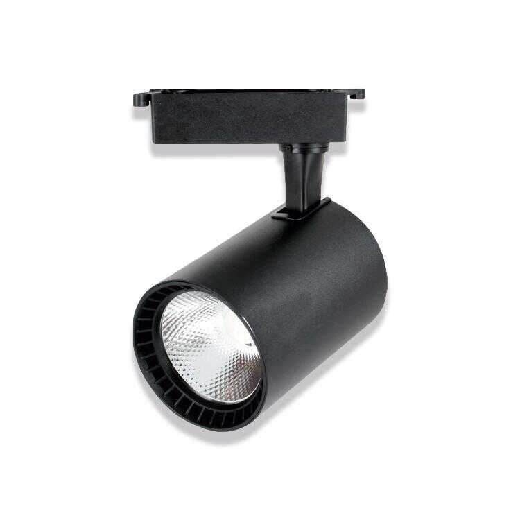Noas 30W Siyah Kasa Paris LED Ray Spot Armatür (Beyaz Işık)