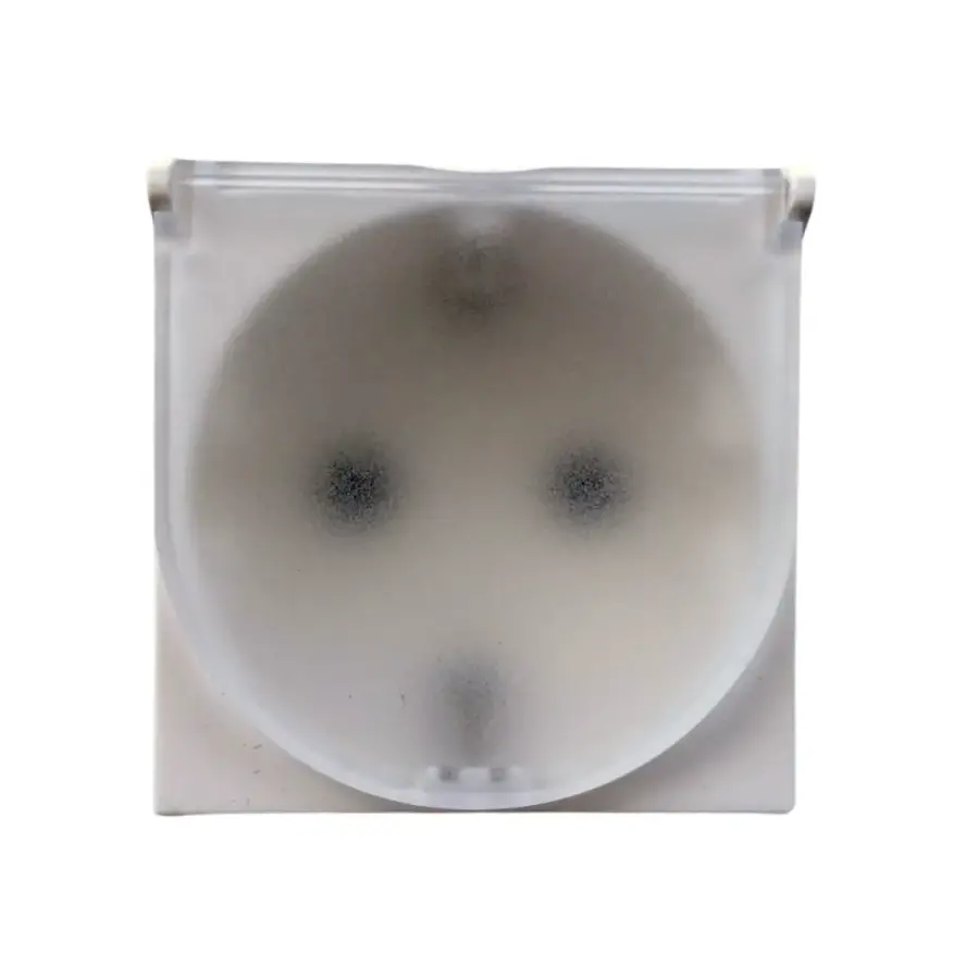 Bticino Classia Kapaklı Topraklı Priz 16A 2M Beyaz