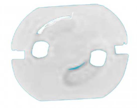 PRİZMATİK (ÇOCUK KORUMA)